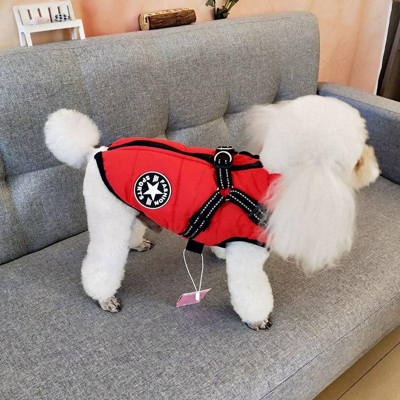 Super Warm Waterproof Dog Jacket - Image 9