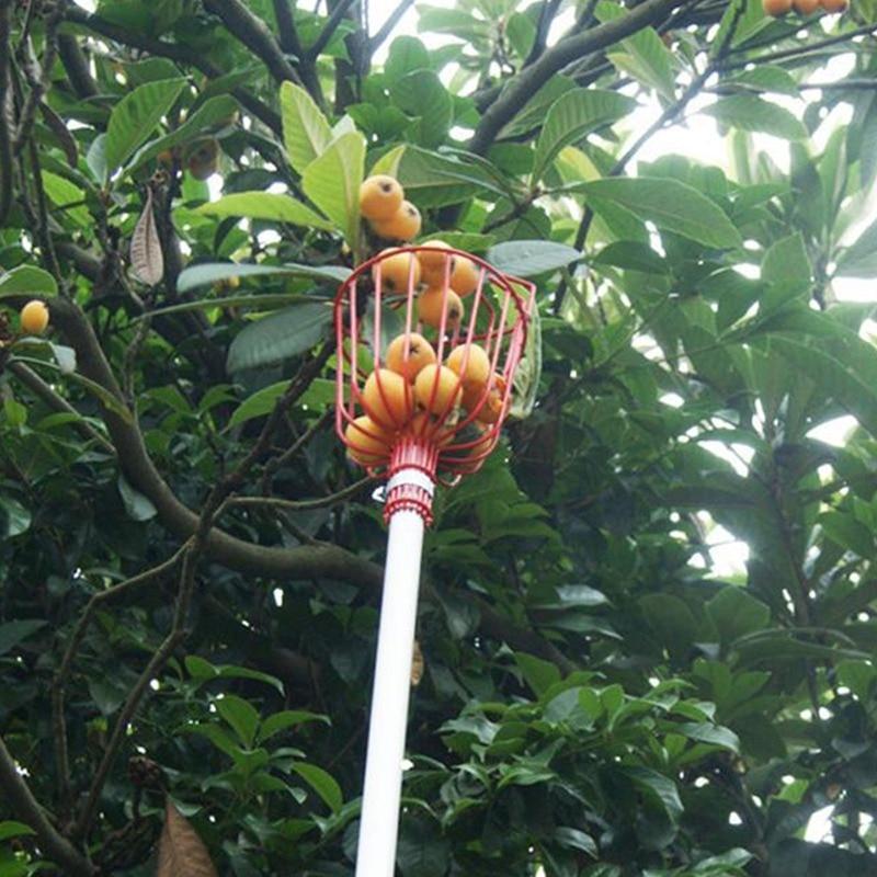 EZ Fruit Picker Garden Tool - Image 10