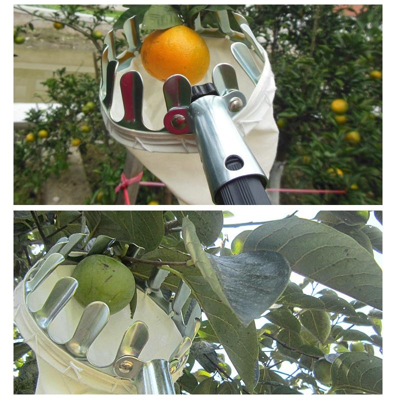 EZ Fruit Picker Garden Tool - Image 12