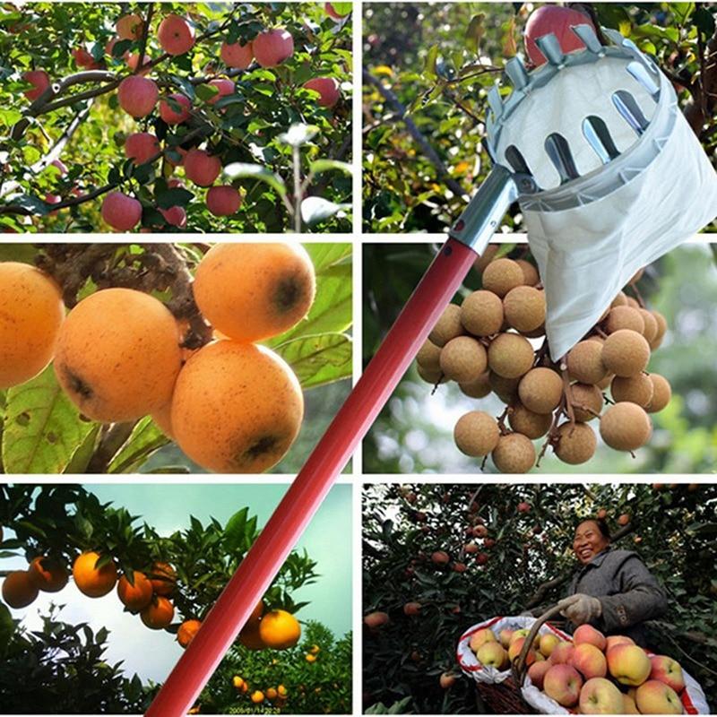 EZ Fruit Picker Garden Tool - Image 14