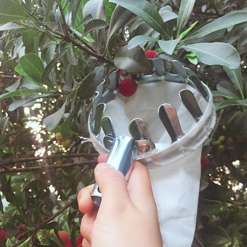 EZ Fruit Picker Garden Tool - Image 2
