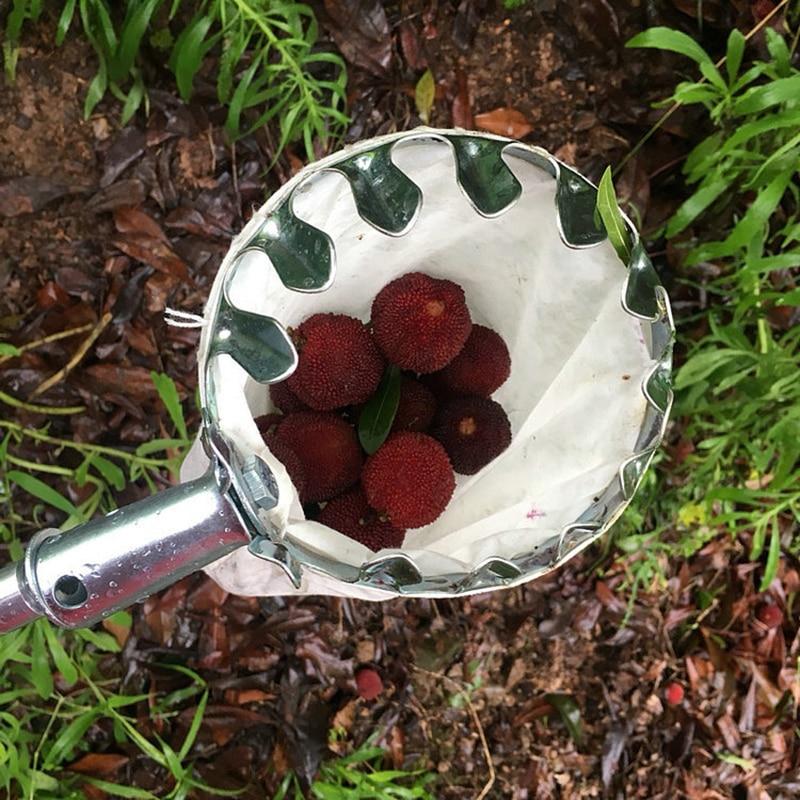 EZ Fruit Picker Garden Tool - Image 3