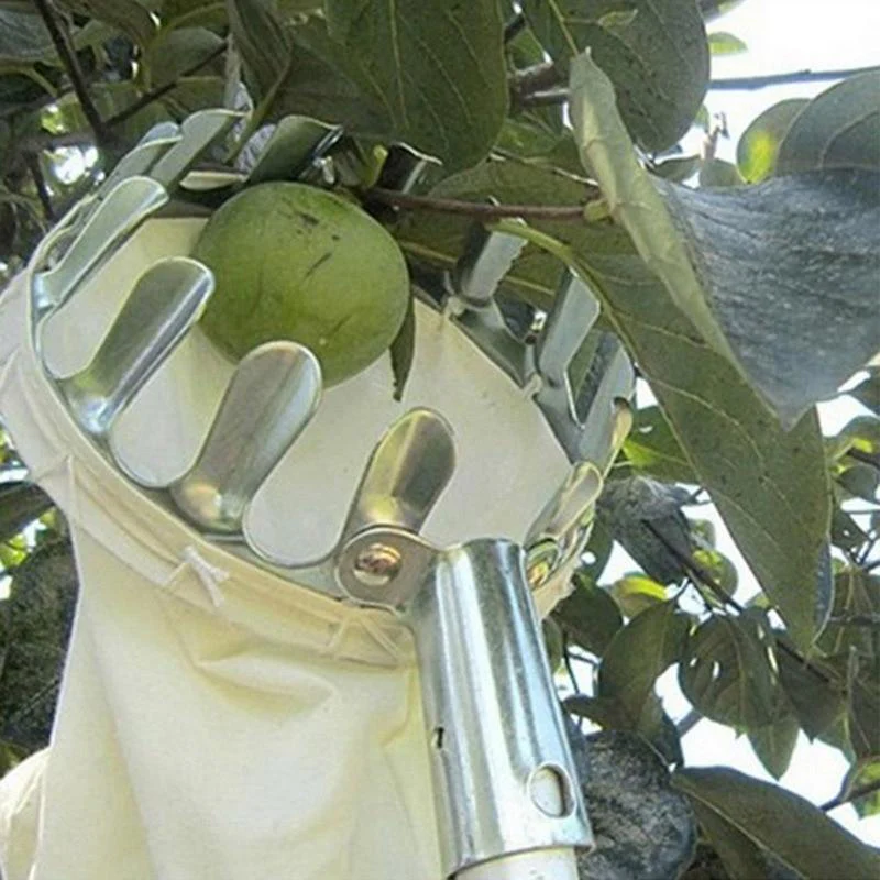 EZ Fruit Picker Garden Tool - Image 6