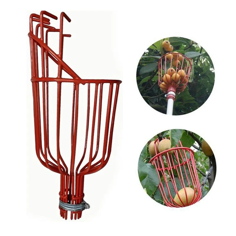 EZ Fruit Picker Garden Tool - Image 7