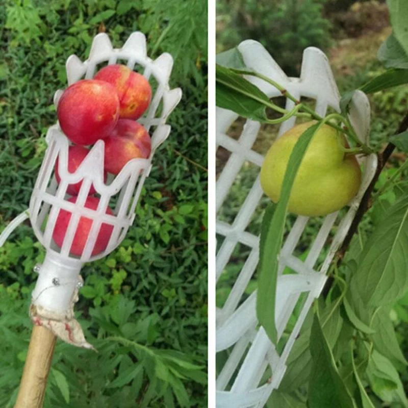 Fruit Picker Tool - Image 2
