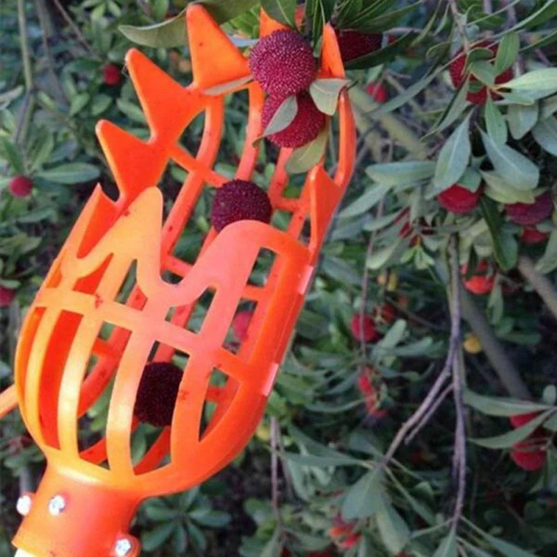 Fruit Picker Tool - Image 3