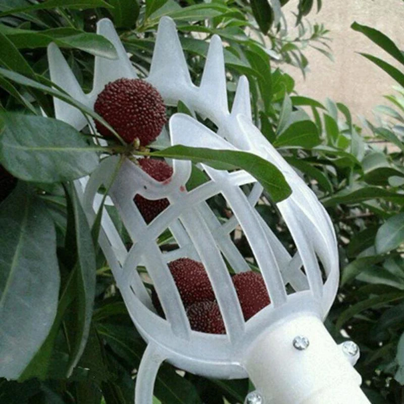 Fruit Picker Tool - Image 6