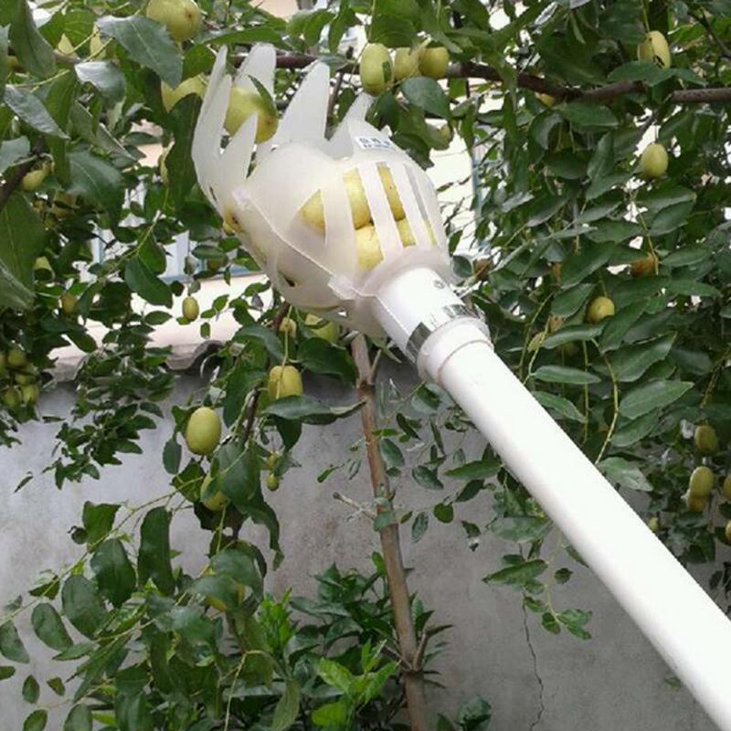 Fruit Picker Tool - Image 7