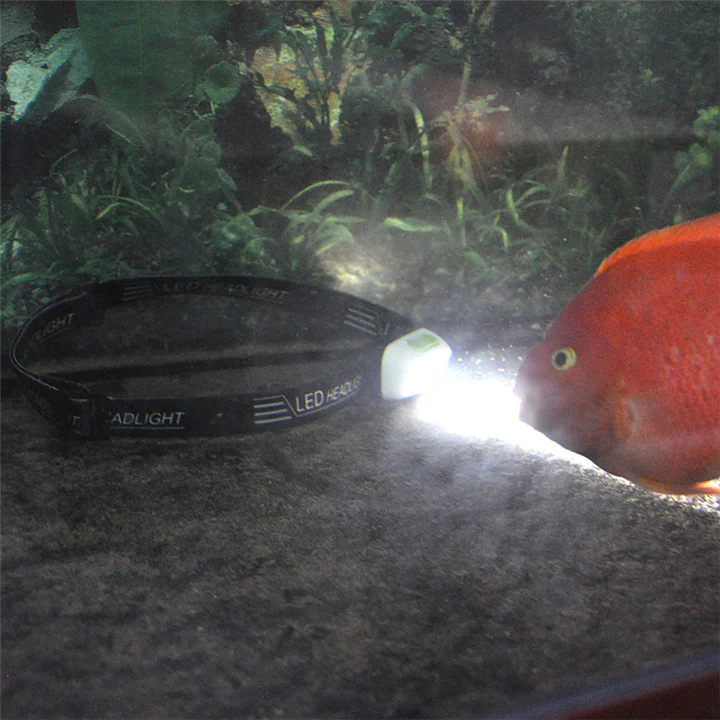 Rechargeable Motion Sensor LED Headlight - Image 13