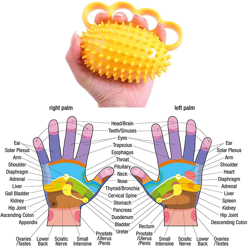 Rehabilitation Hand Grip Training Ball For The Elderly - Image 10