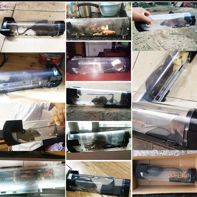 SafeRelease Self-Locking Humane Mouse Trap – Clear Reusable Design - Image 18