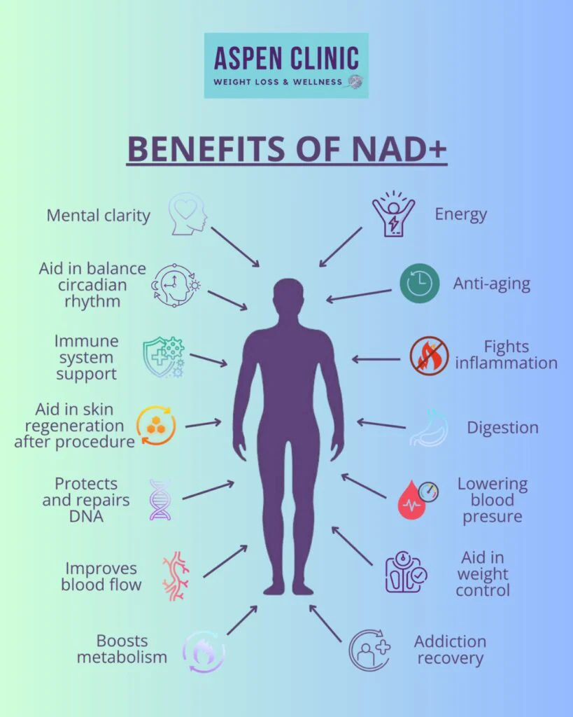 NAD+ Vital Restore – Repair Cells, Daily Energy Boost , Focus & Anti-Aging Support - Image 7