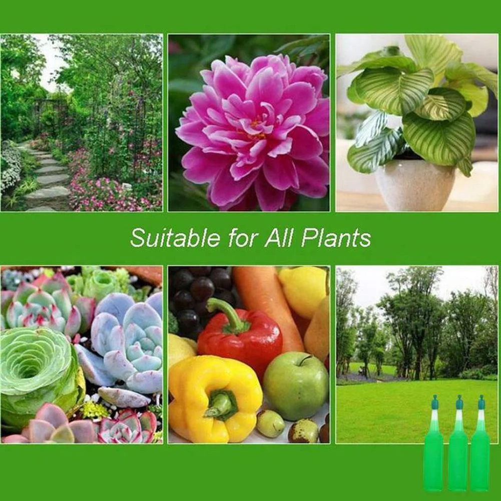 Hydroponic Organic Vegetables Liquid Fertilizer (6 pcs set) - Image 10
