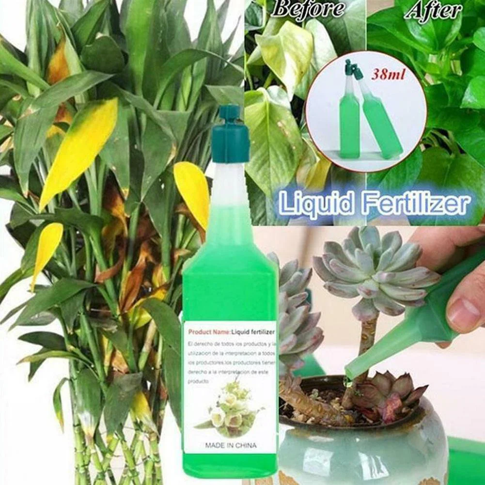 Hydroponic Organic Vegetables Liquid Fertilizer (6 pcs set) - Image 11