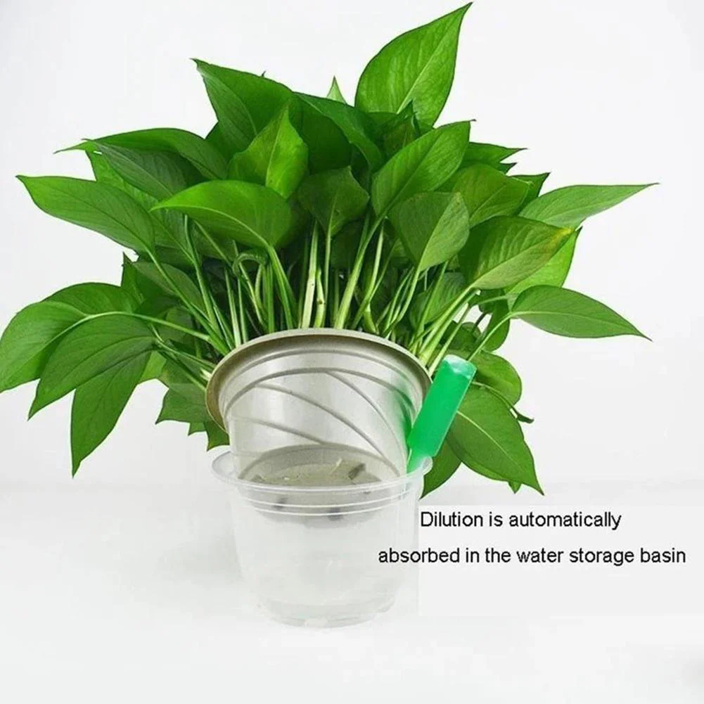 Hydroponic Organic Vegetables Liquid Fertilizer (6 pcs set) - Image 5
