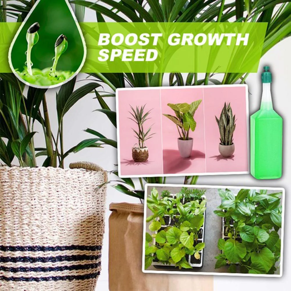 Hydroponic Organic Vegetables Liquid Fertilizer (6 pcs set) - Image 8