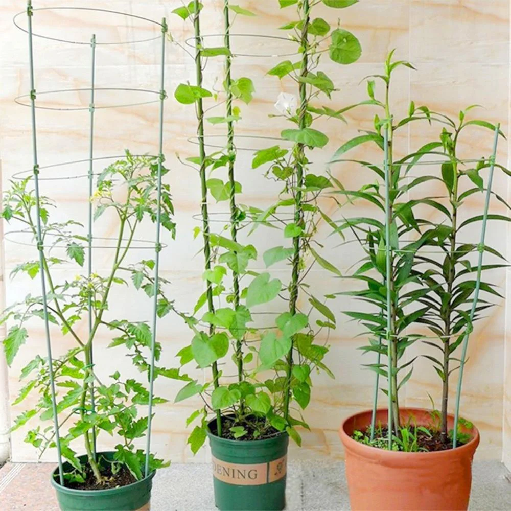 Adjustable Plant Support ***2sets*** - Image 3