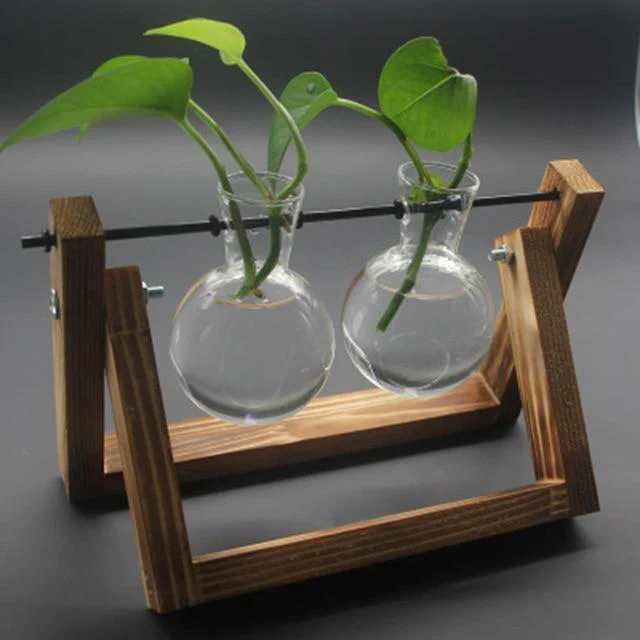 PlantDecor™ Hydroponic Transparent Plant Cocoons - Image 10