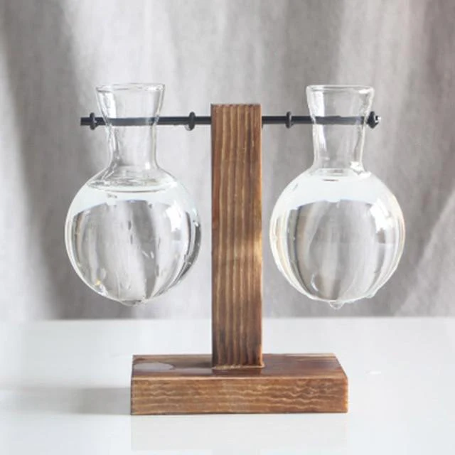PlantDecor™ Hydroponic Transparent Plant Cocoons - Image 3