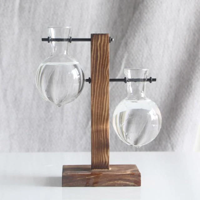 PlantDecor™ Hydroponic Transparent Plant Cocoons - Image 4