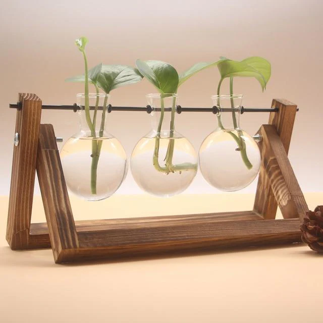 PlantDecor™ Hydroponic Transparent Plant Cocoons - Image 6