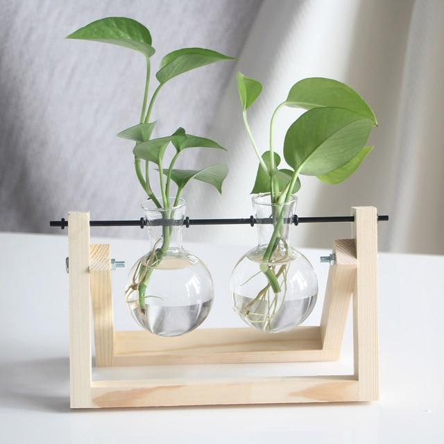 PlantDecor™ Hydroponic Transparent Plant Cocoons - Image 7