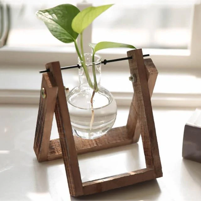 PlantDecor™ Hydroponic Transparent Plant Cocoons - Image 8