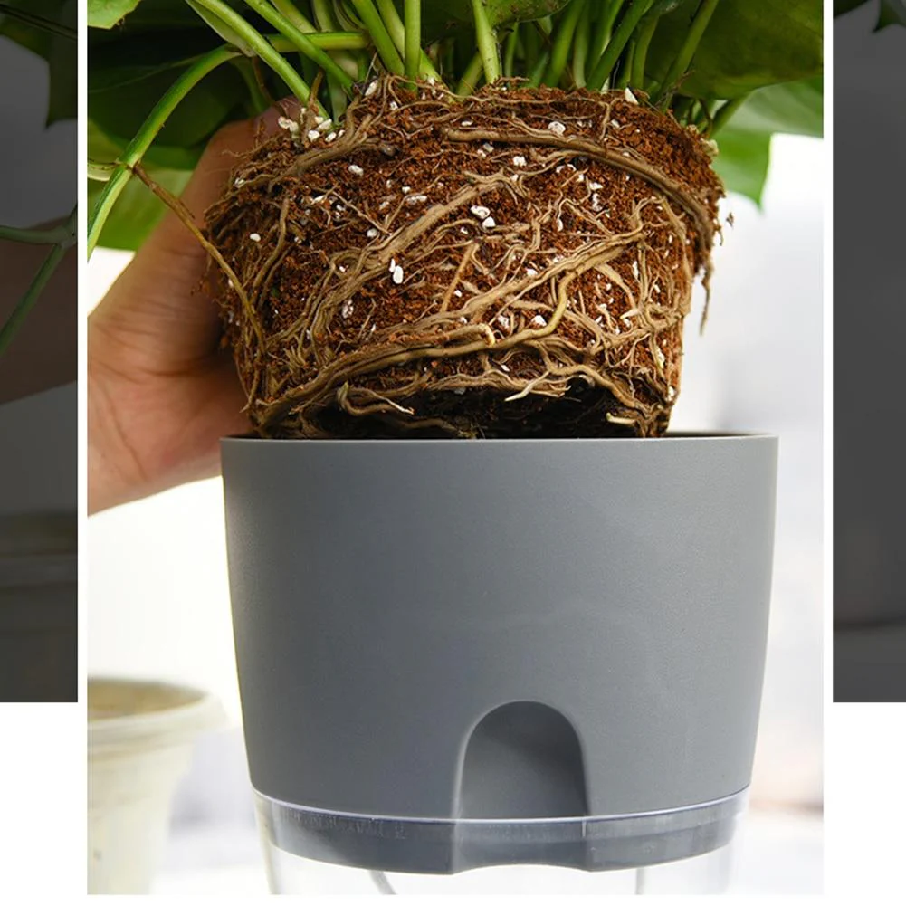 Self Watering Rapid Water Absorbing Flower Pot - Image 10