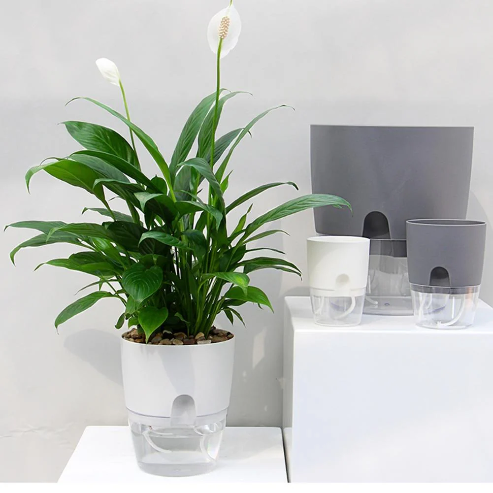Self Watering Rapid Water Absorbing Flower Pot - Image 9