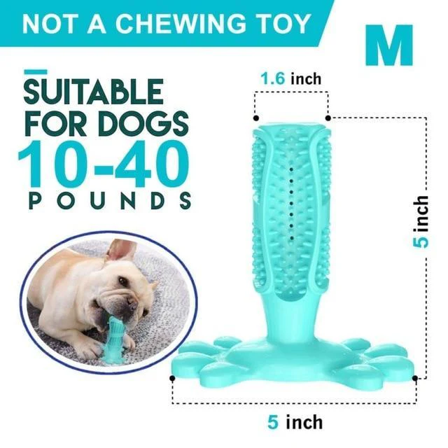 DoggyDoc™ Rrevolutionary 2-in-1 Dogs Toothbrush & Chewing Stick - Image 10