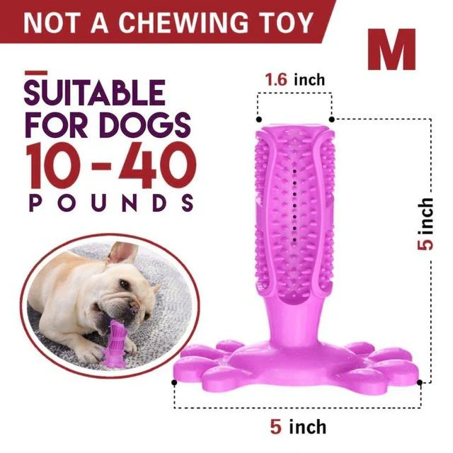 DoggyDoc™ Rrevolutionary 2-in-1 Dogs Toothbrush & Chewing Stick - Image 7