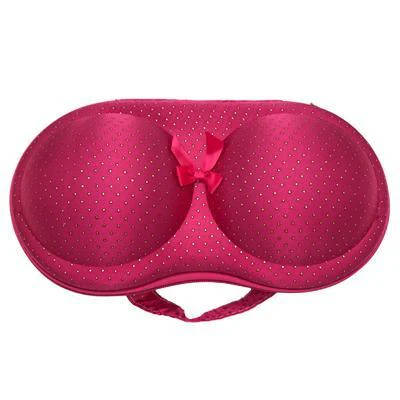 Travel Bra Organizer - Image 13