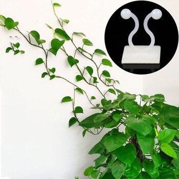 Vine Plant Climbing Stick-On Hook Set - Image 2