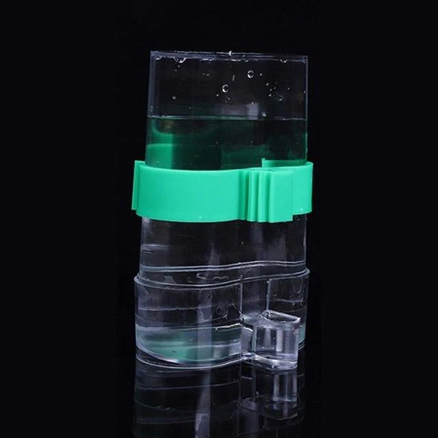 Transparent Window Bird Feeder - Image 2