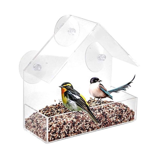 Transparent Window Bird Feeder - Image 4