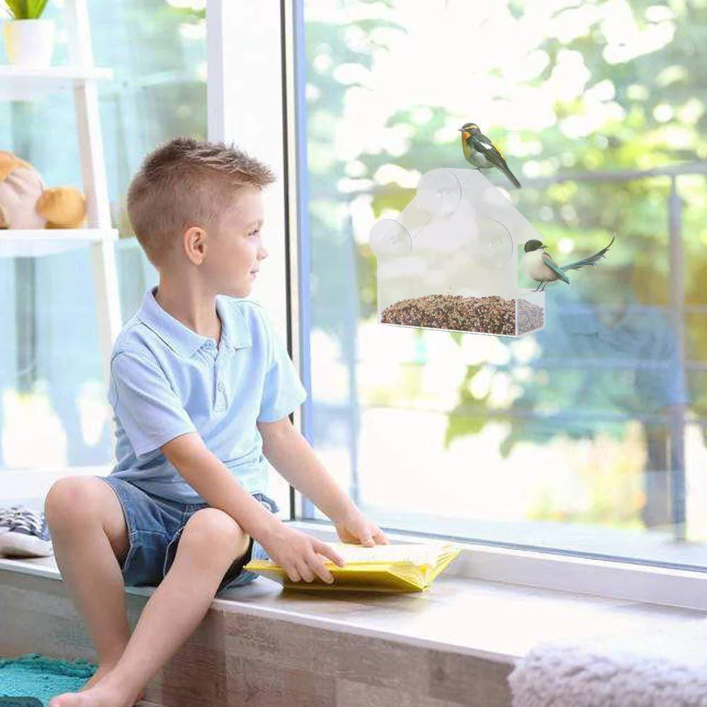 Transparent Window Bird Feeder - Image 5