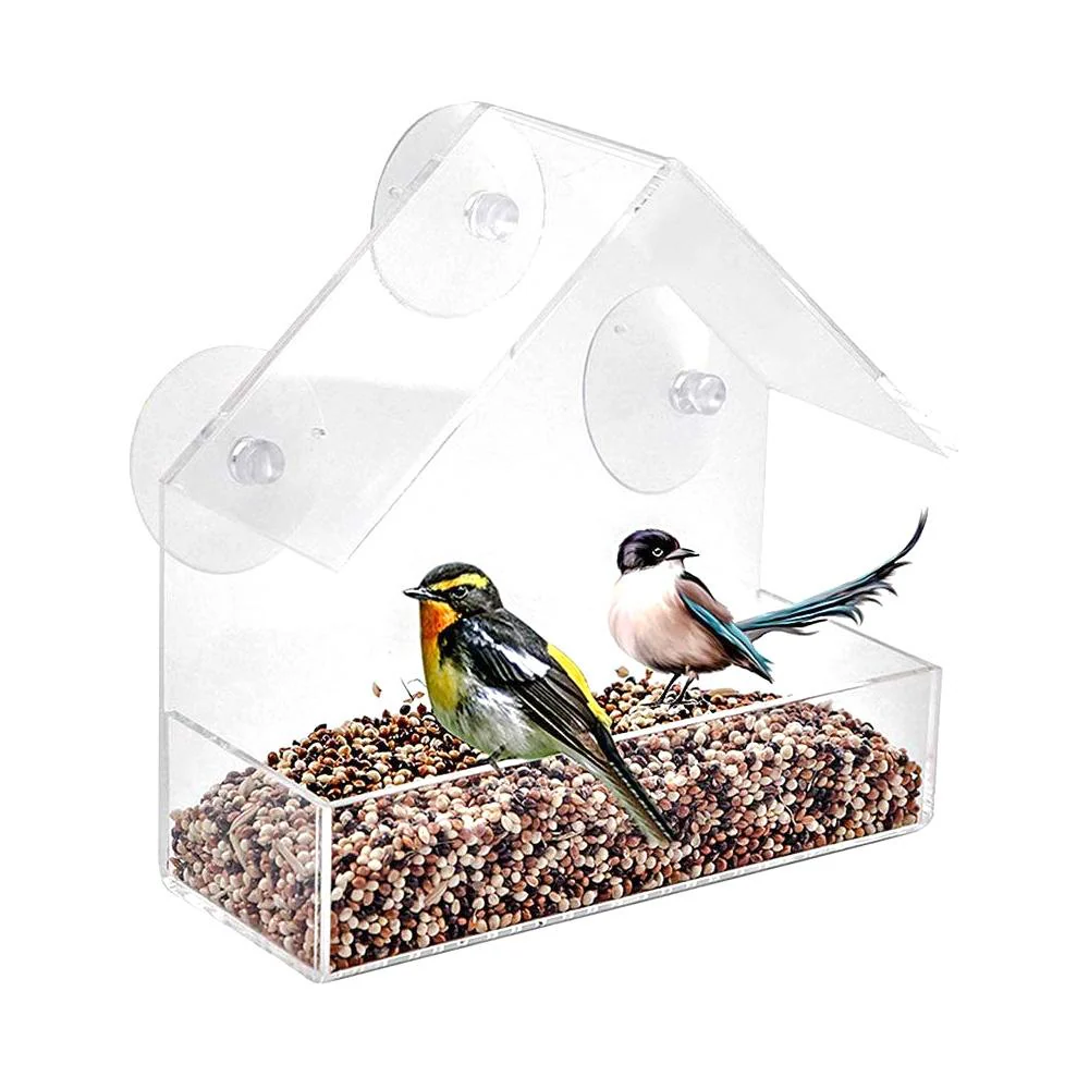 Transparent Window Bird Feeder - Image 6